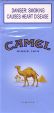 CamelCollectors https://www.thecamelcollectors.com/assets/images/pack-preview/ZA-005-06.jpg